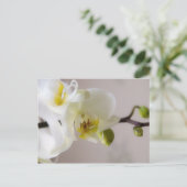 Witte orchidee · Briefkaart (Staand voorkant)