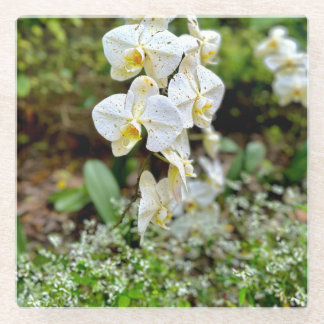 Witte Orchidee Glazen Onderzetter