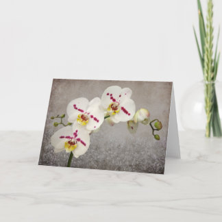 Witte Orchidee Kaart