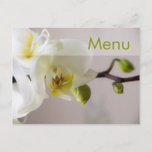 Witte orchidee · Menu Briefkaart