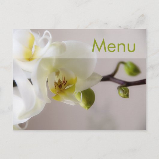 Witte orchidee · Menu Briefkaart (Voorkant)