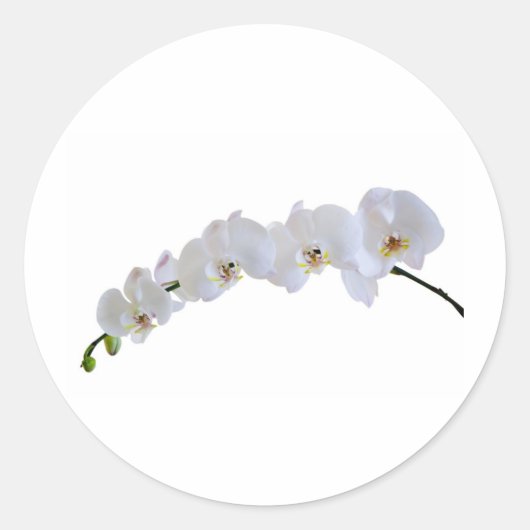 Witte orchidee ronde sticker (Voorkant)
