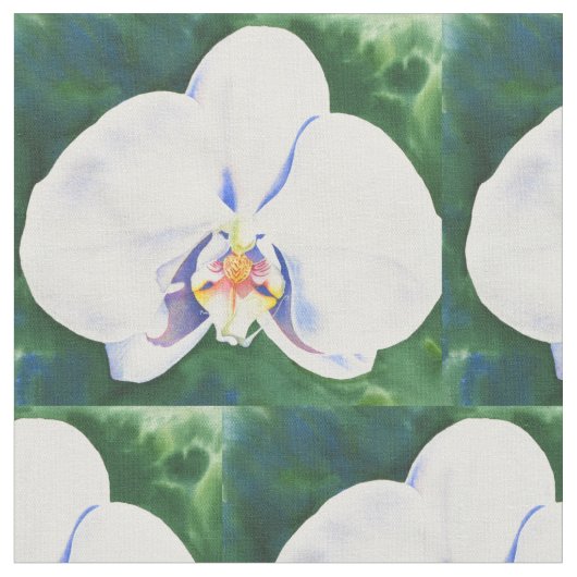 Witte Orchidee Stof (Close Up)