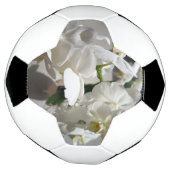 Witte Orchidee Voetbal (Gedraaid)