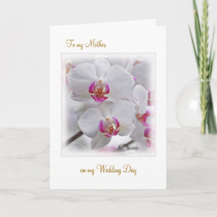 Witte Orchideeën - Bedankt moeder voor mijn trouwe