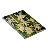 Witte orchideeën en varens Bloemen Notitieboek (Rechterzijde)