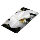 Witte orchideeën in water Flexibele fotomagneet Magneet (Linkerzijde)