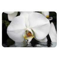 Witte orchideeën in water Flexibele fotomagneet