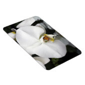 Witte orchideeën in water Flexibele fotomagneet Magneet (Rechterzijde)