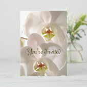 Witte Orchideeën_ Kaart (Staand voorkant)
