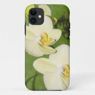 Witte orchideeën op een groene achtergrond iPhone 11 hoesje