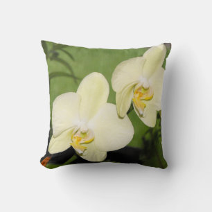 Witte orchideeën op een groene achtergrond kussen
