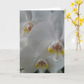Witte Orchideeën op een lege kaart (Gele Bloem)