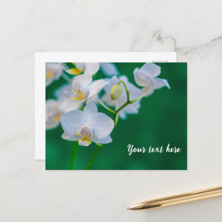 Witte orchideeën op groen briefkaart