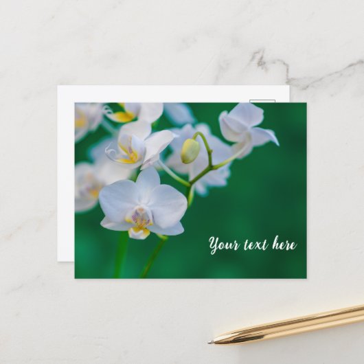 Witte orchideeën op groen briefkaart (Voorkant / Achterkant in situ)