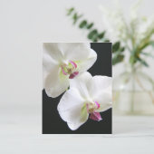 Witte orchideeën op zwart briefkaart (Staand voorkant)