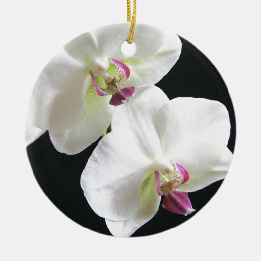 Witte orchideeën op zwart ornament (Voorkant)