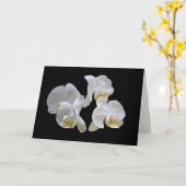 Witte Orchideeën op Zwarte - Elegante Kaart (Gele Bloem)