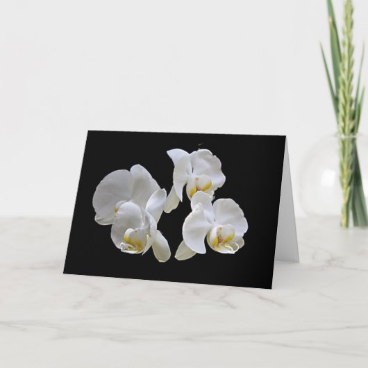 Witte Orchideeën op Zwarte - Elegante Kaart (Voorkant)