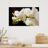 Witte Orchideeën Poster (Keuken)