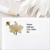 witte orchideeën retouradres etiket (Insitu)