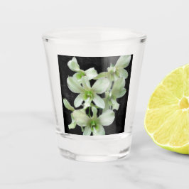 Witte orchideeën shot glas