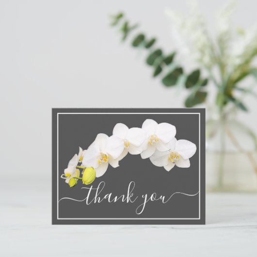 Witte orchideeën tegen grijze achtergrond Dank je Briefkaart (Staand voorkant)