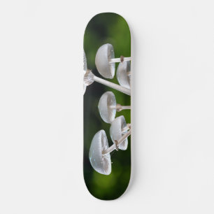 Witte Oyster Autumn paddenstoelen Skateboard