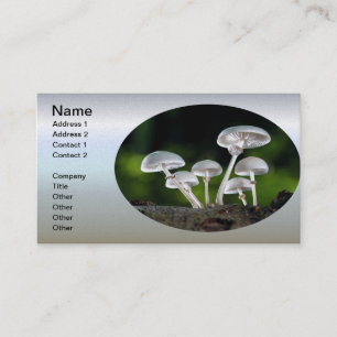 Witte Oyster Autumn paddenstoelen Visitekaartje