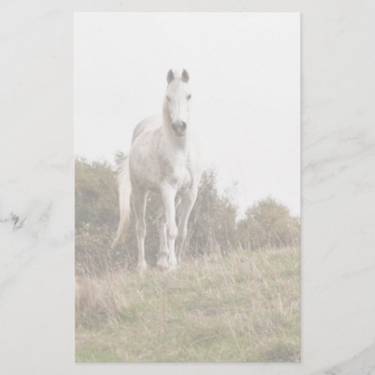 Witte paard briefpapier (Voorkant)