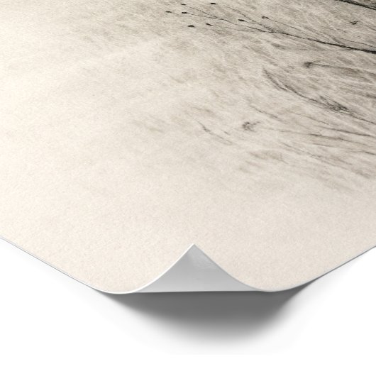 Witte paard in houtskool poster (Hoek)