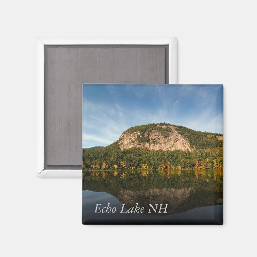 Witte Paard Ledge Magneet (Voorkant / Achterkant)