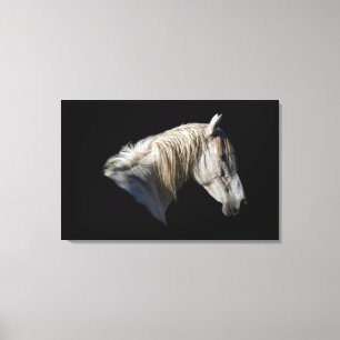 Witte Paard-Lover Equine Fotodoek Canvas Afdruk