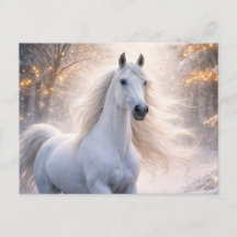 Witte Paard Sneeuw Kerst Seizoensgroeten