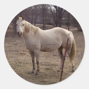 Witte Paard Stickers