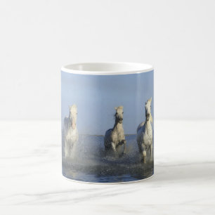 Witte paarden aan strand met Mok van Ocean Coffee