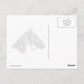 Witte paarden die op sneeuw lopen briefkaart (Achterkant)