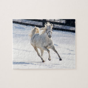 Witte paarden die op sneeuw lopen legpuzzel