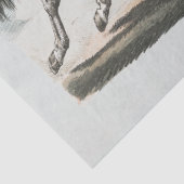 Witte paarden lopen tissuepapier (Detail)