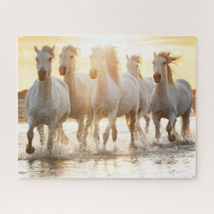 Witte paarden op het strand bij zonsondergang legpuzzel