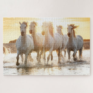 Witte paarden op strand op zonsondergang legpuzzel