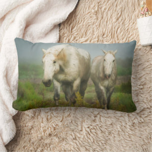 Witte paarden van Camargue in het veld Kussen