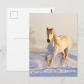 Witte paarden, witte sneeuw briefkaart (Voorkant / Achterkant)