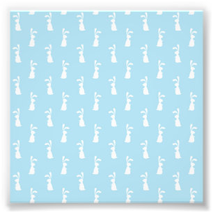 Witte Paashaas Konijnenoren Pastelblauw Lente Foto Afdruk