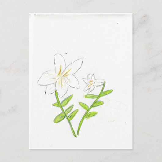 witte paaslelie briefkaart (Voorkant)