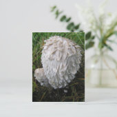 Witte paddenstoel briefkaart (Staand voorkant)