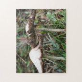 Witte paddenstoel Natuur Legpuzzel (Verticaal)