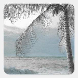 Witte Palm Kokosboom Elegant Strand Huwelijk Vierkante Sticker