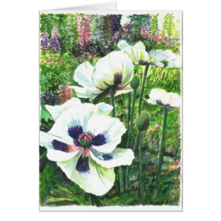 Witte papaverbloemen in het veld