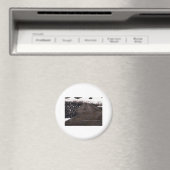 Witte pas 12 magneet (Insitu (Vaatwasser))